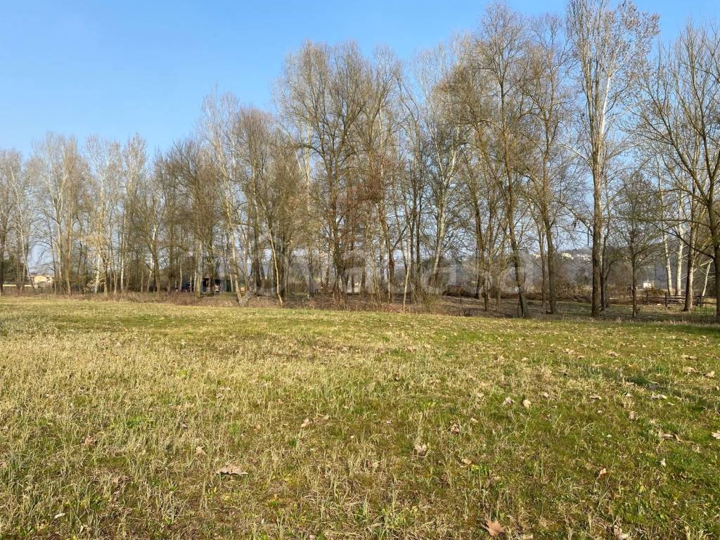 immagine annuncio 5 di 12