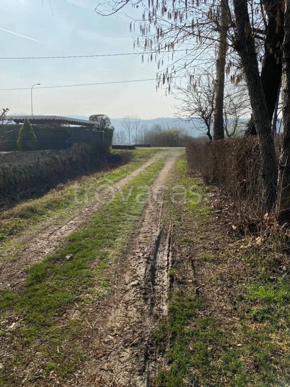 immagine annuncio 8 di 12