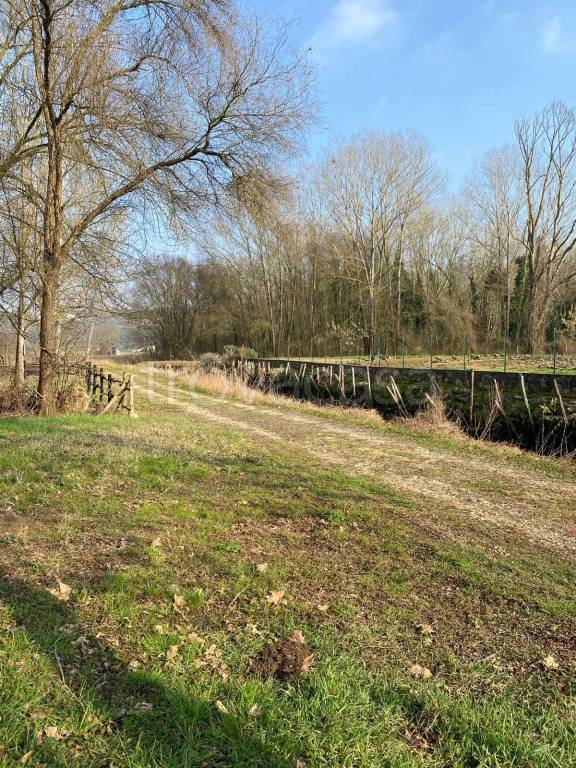 immagine annuncio 9 di 12