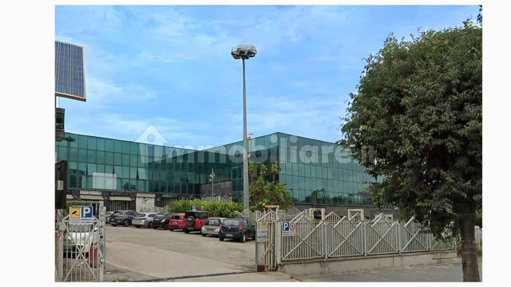 immagine annuncio 1 di 12