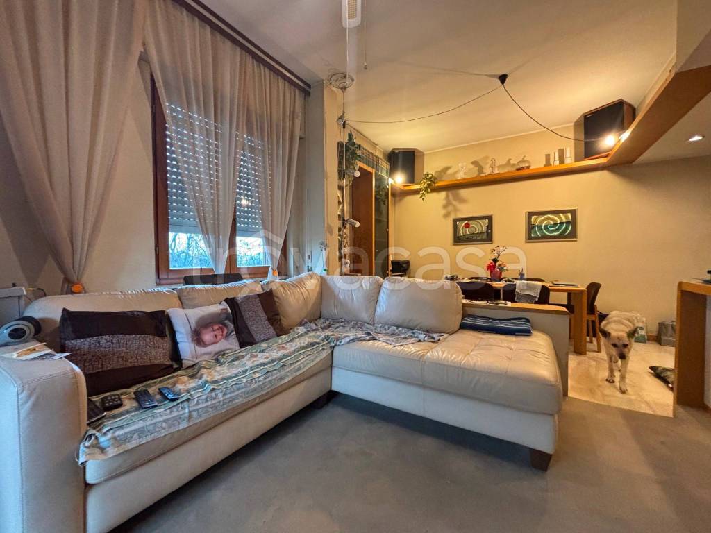 immagine annuncio 7 di 15