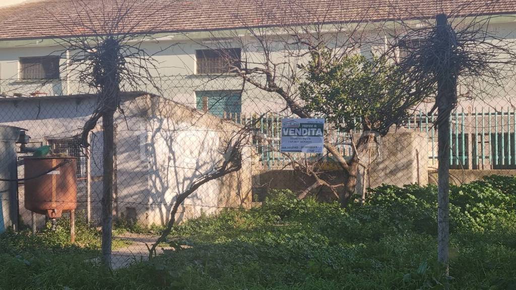 immagine annuncio 2 di 4