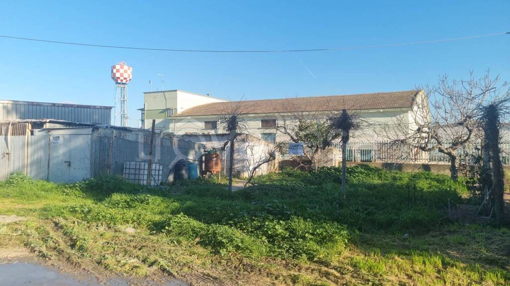 immagine annuncio 3 di 4