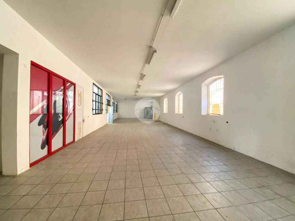 immagine annuncio 10 di 15