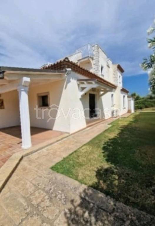 immagine annuncio 6 di 11