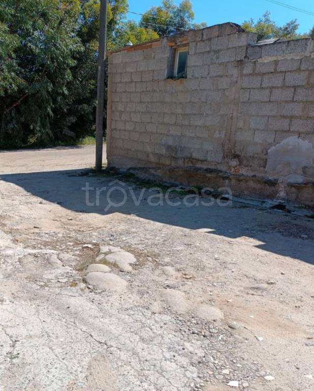 immagine annuncio 9 di 12