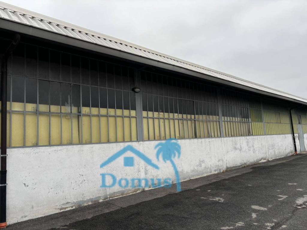 immagine annuncio 5 di 8