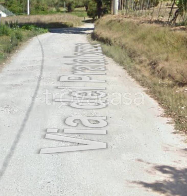 immagine annuncio 2 di 11