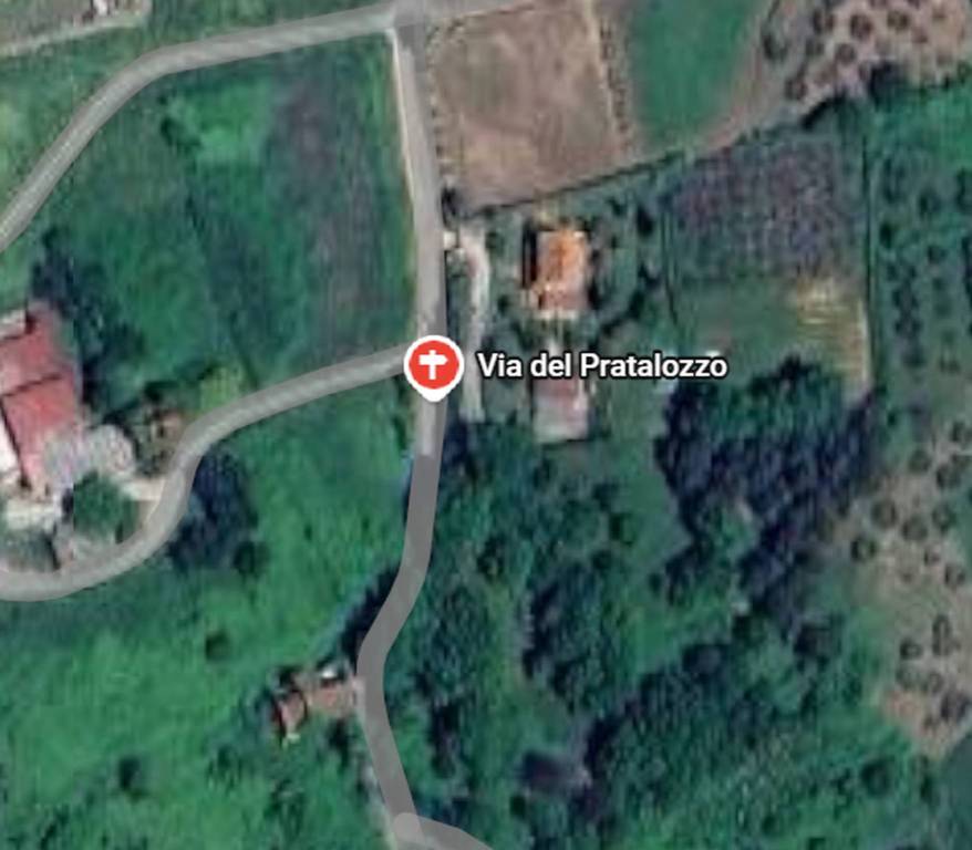 immagine annuncio 6 di 11