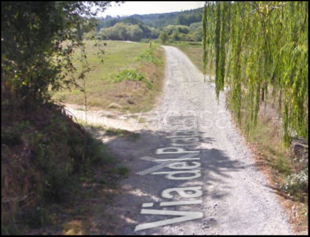 immagine annuncio 6 di 12