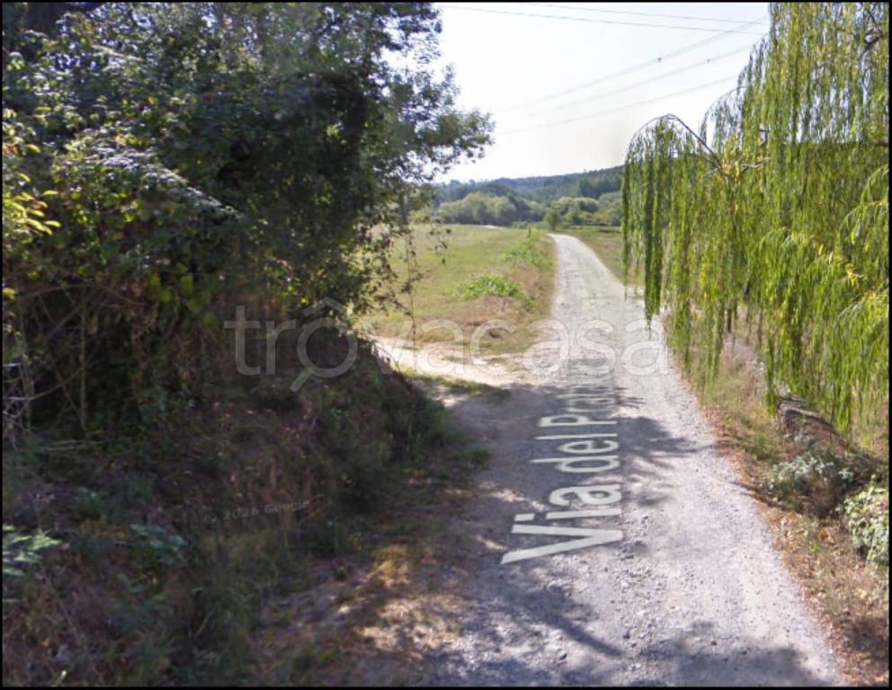 immagine annuncio 8 di 12