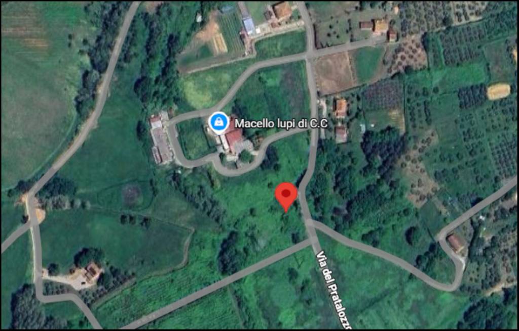 immagine annuncio 11 di 12