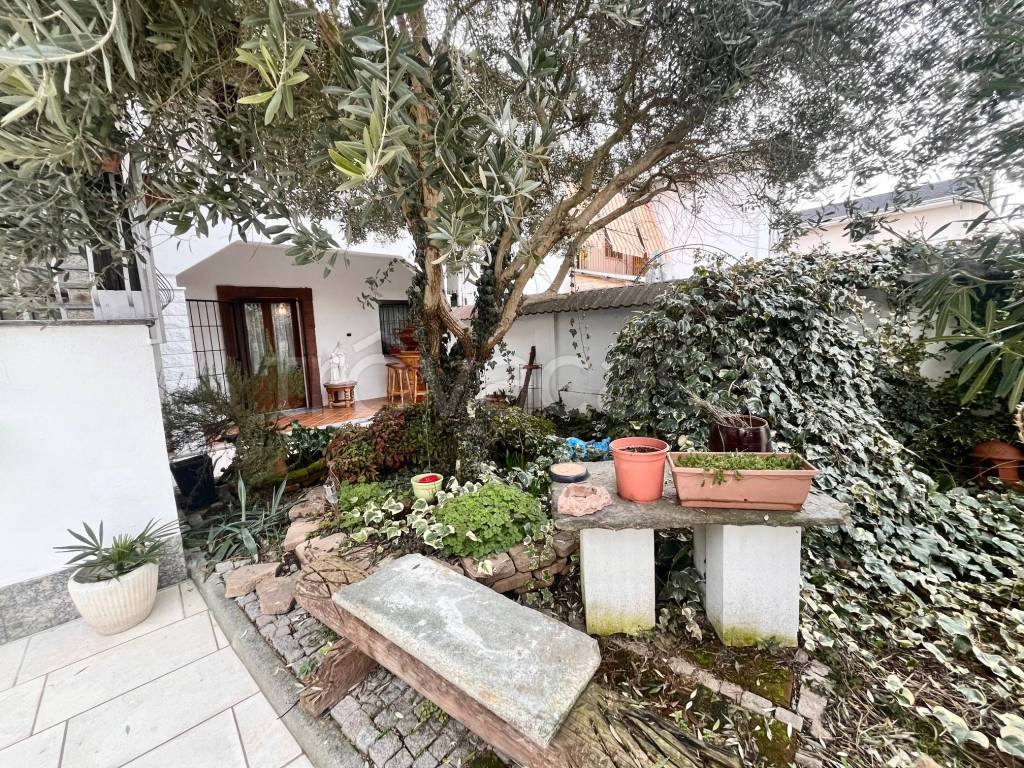 immagine annuncio 3 di 15