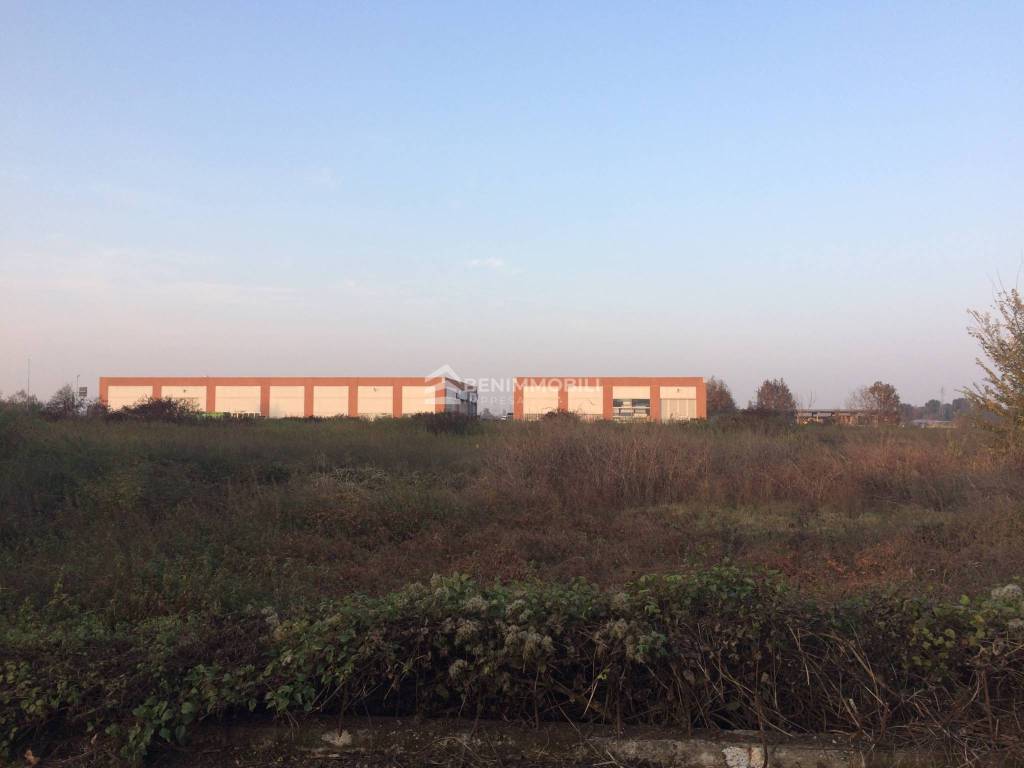 immagine annuncio 2 di 12