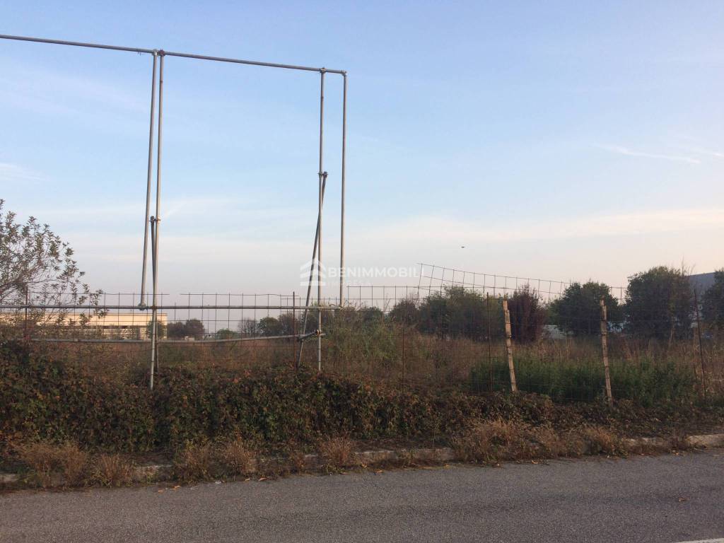 immagine annuncio 5 di 12