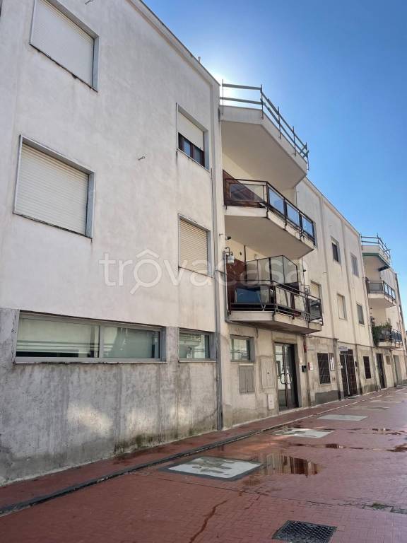 immagine annuncio 11 di 14