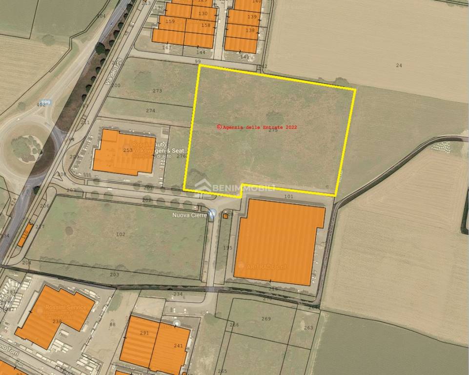 immagine annuncio 11 di 12