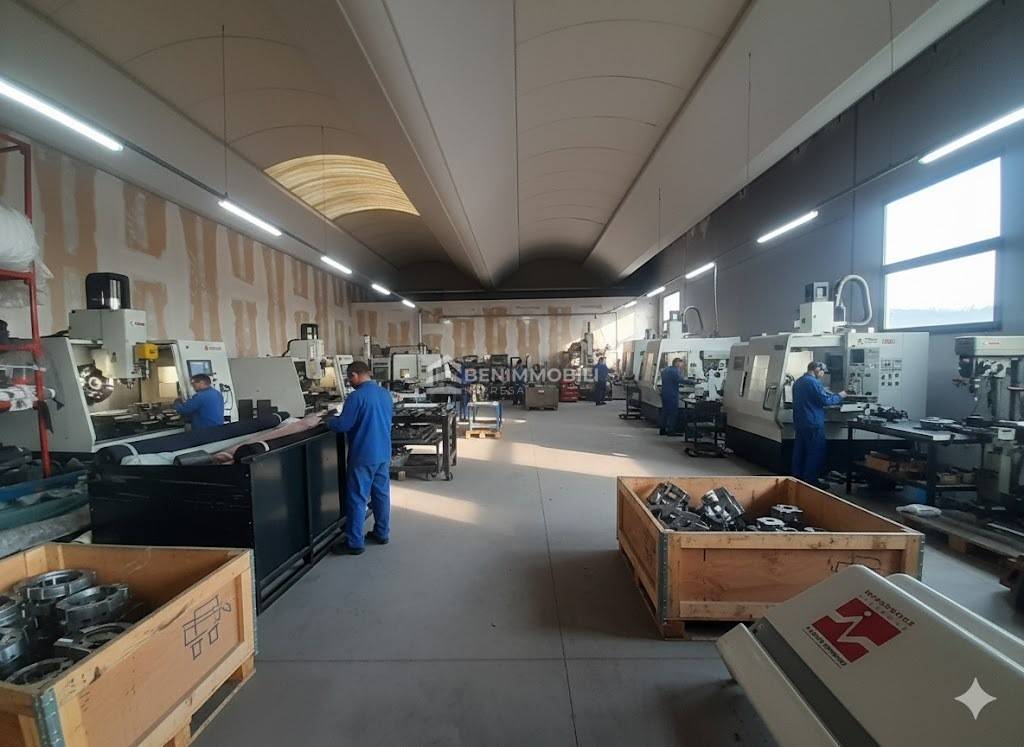 immagine annuncio 1 di 8