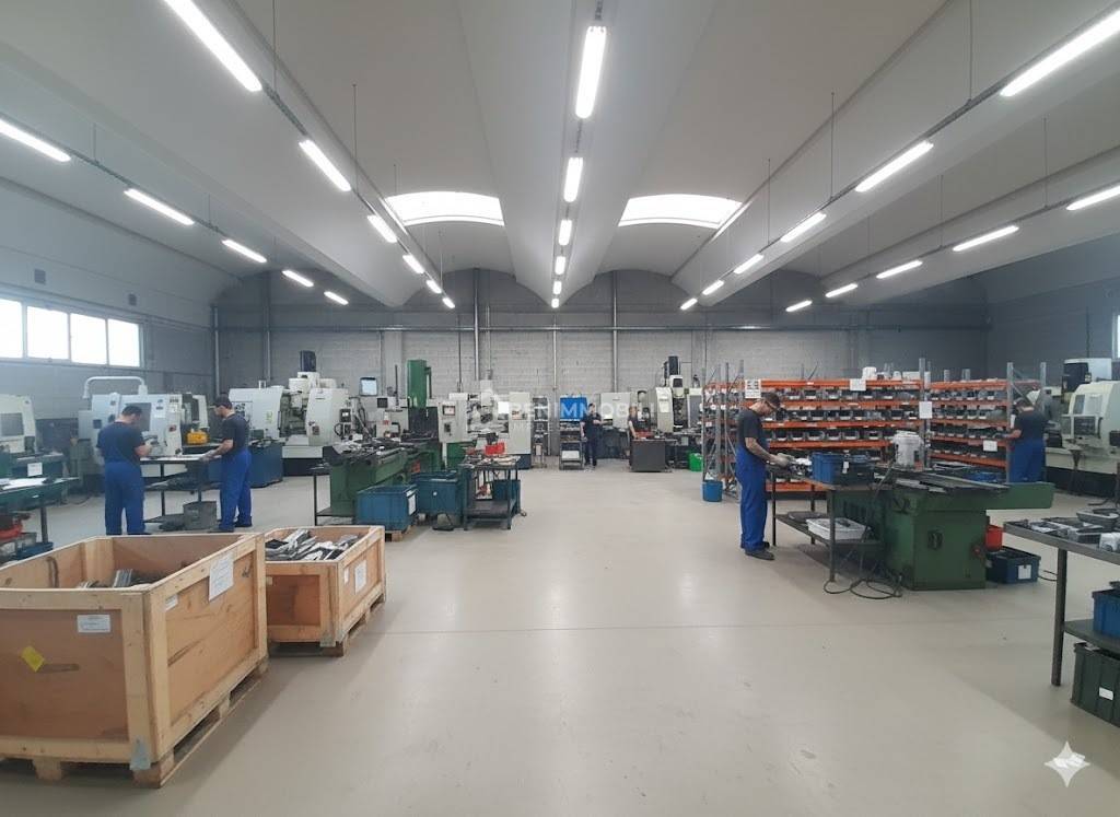 immagine annuncio 2 di 8