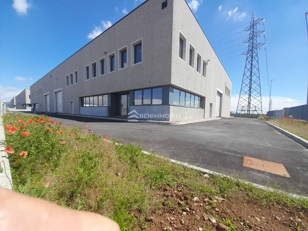 immagine annuncio 7 di 15