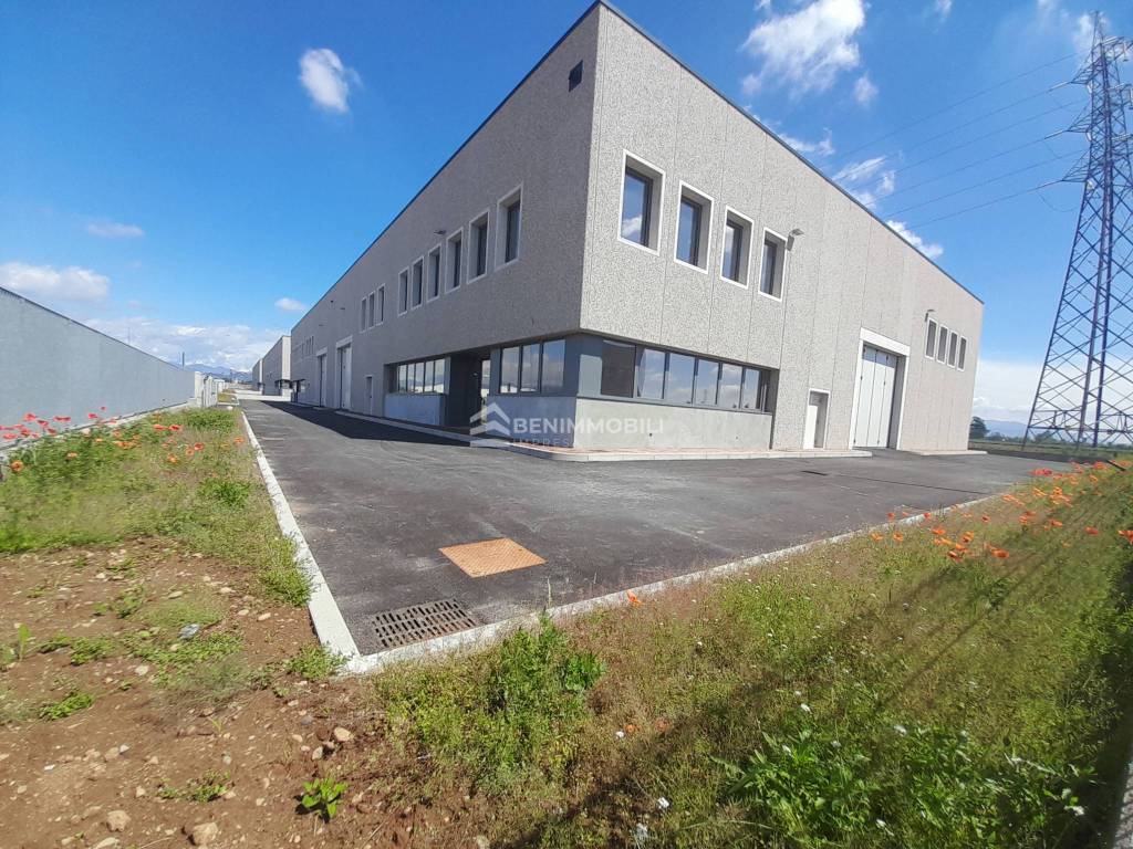 immagine annuncio 8 di 15