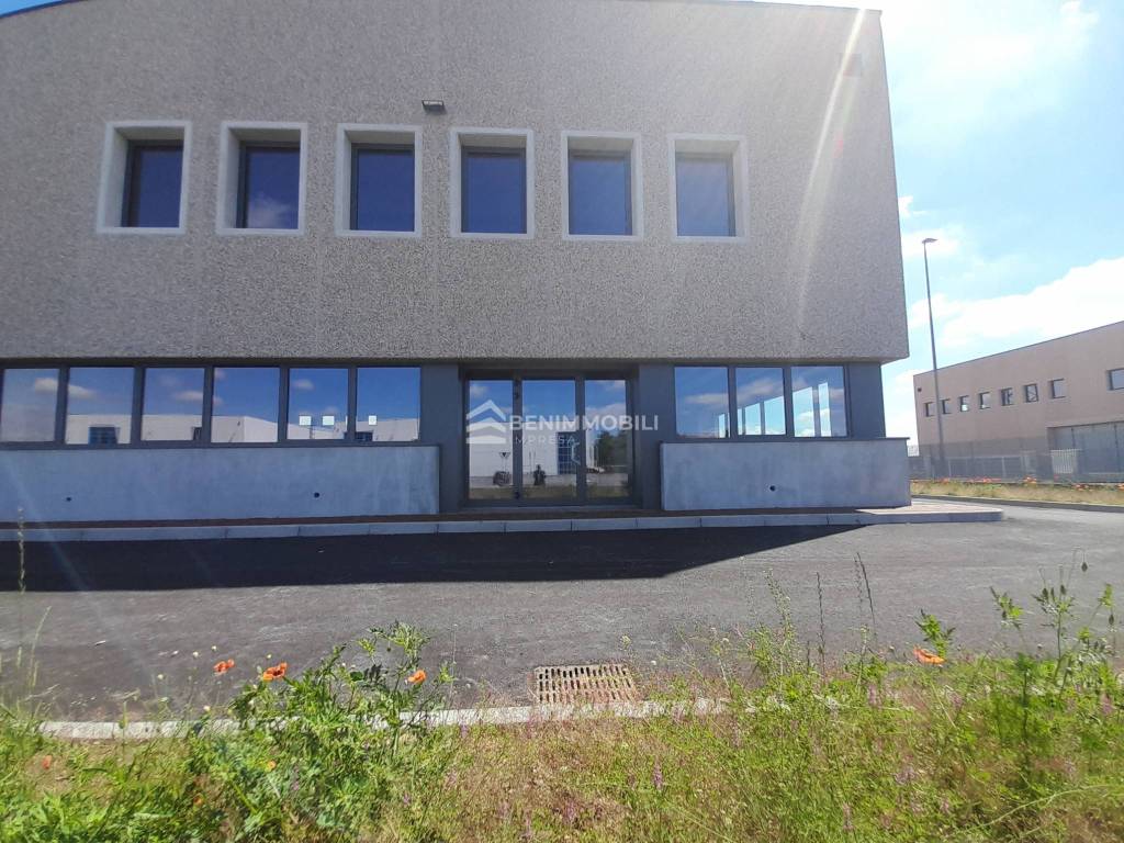 immagine annuncio 4 di 15