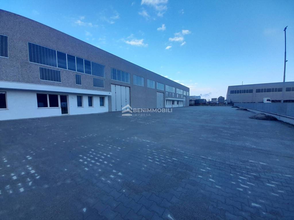 immagine annuncio 6 di 15