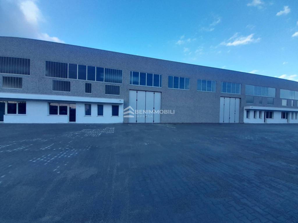 immagine annuncio 8 di 15