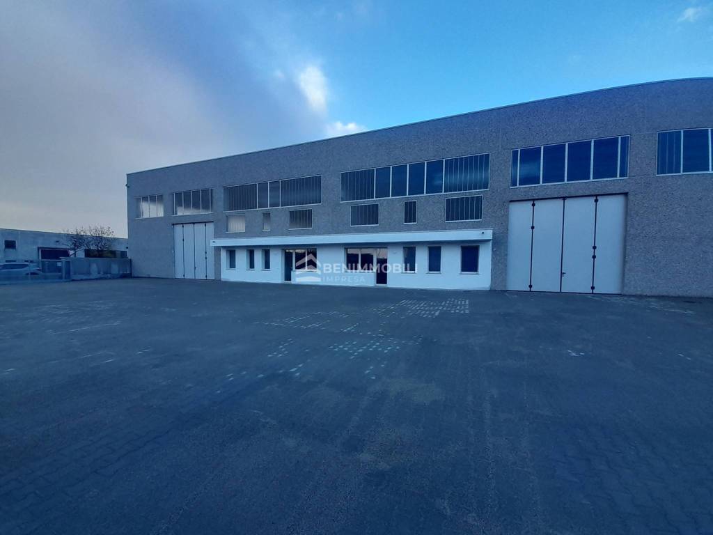 immagine annuncio 9 di 15