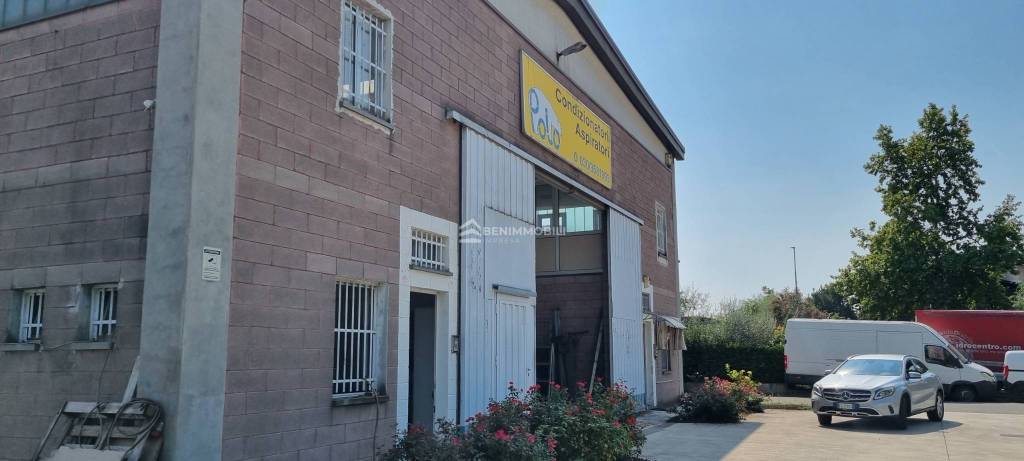 immagine annuncio 4 di 15