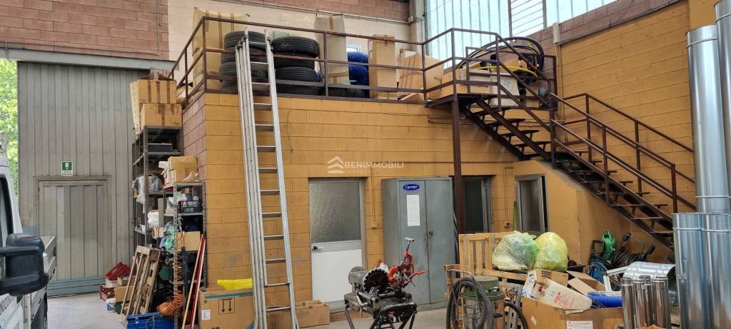 immagine annuncio 9 di 15