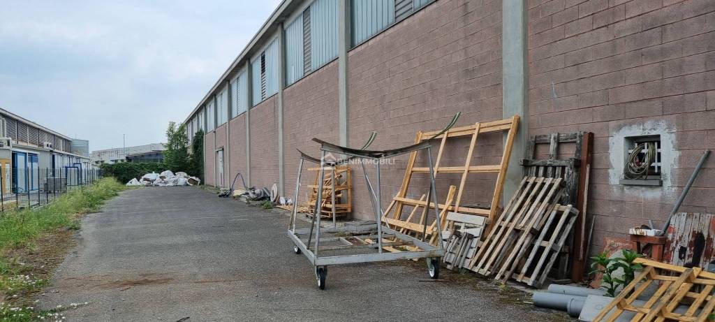 immagine annuncio 12 di 15