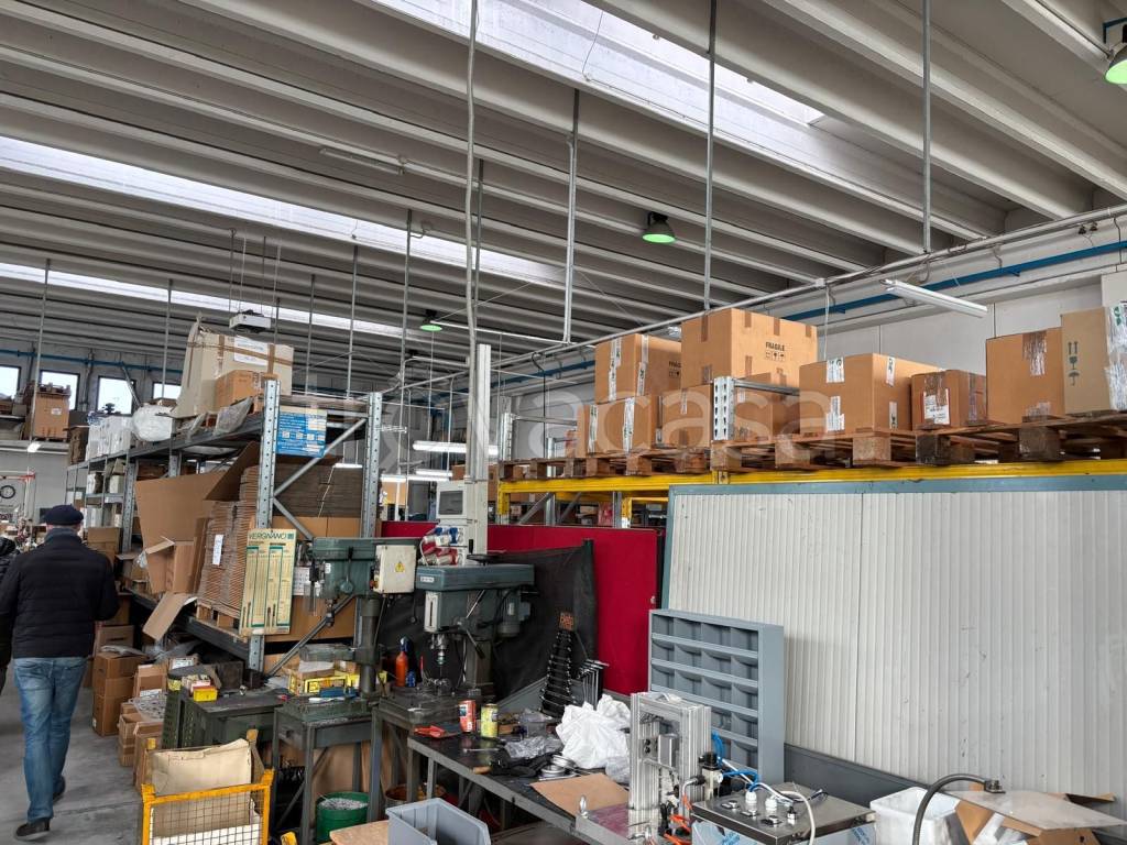 immagine annuncio 2 di 7