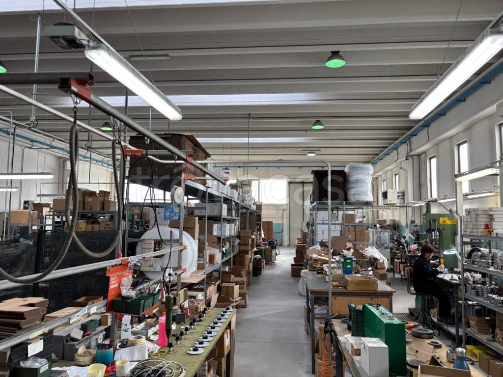 immagine annuncio 3 di 7