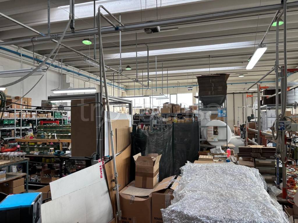 immagine annuncio 4 di 7