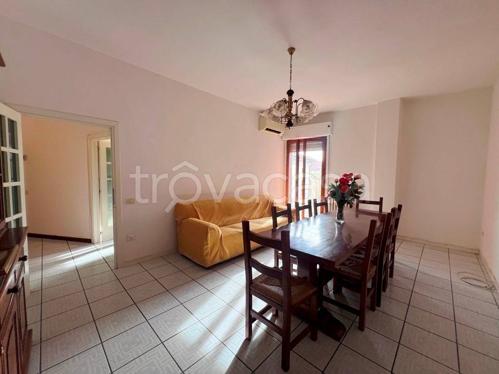 immagine annuncio 2 di 14