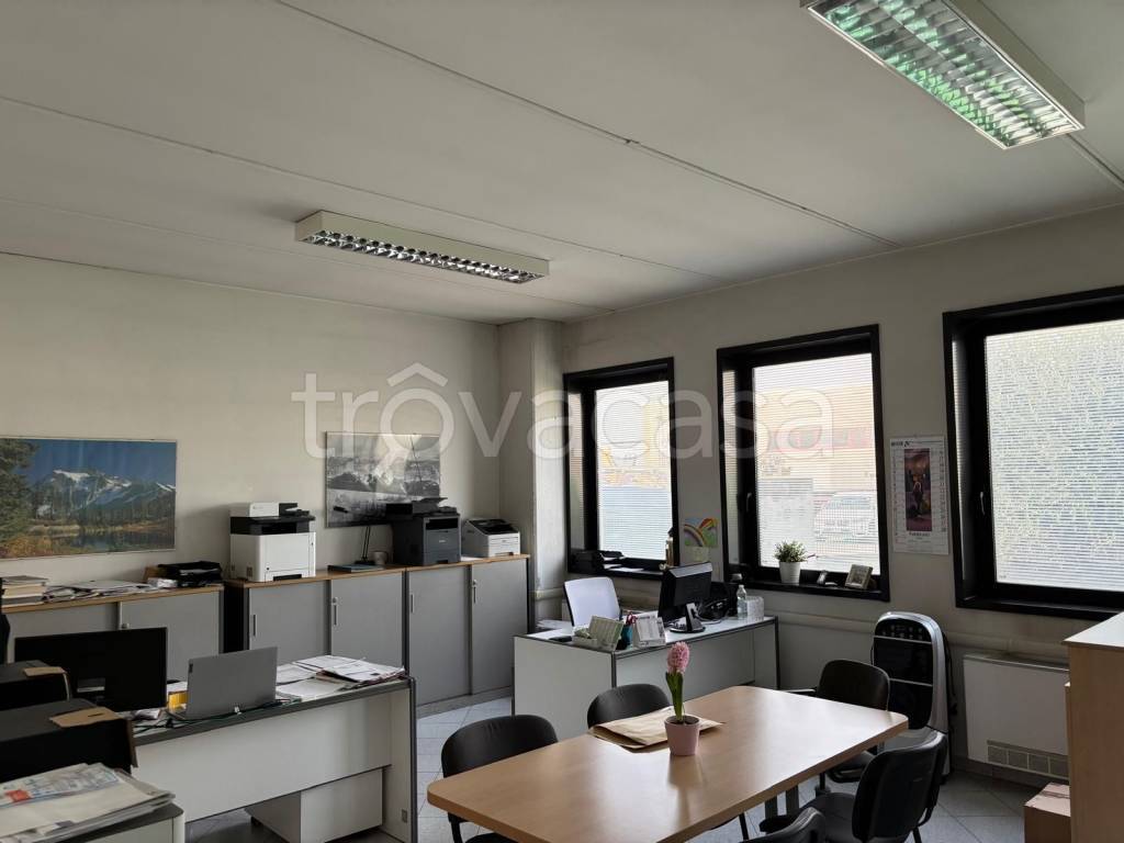 immagine annuncio 6 di 7