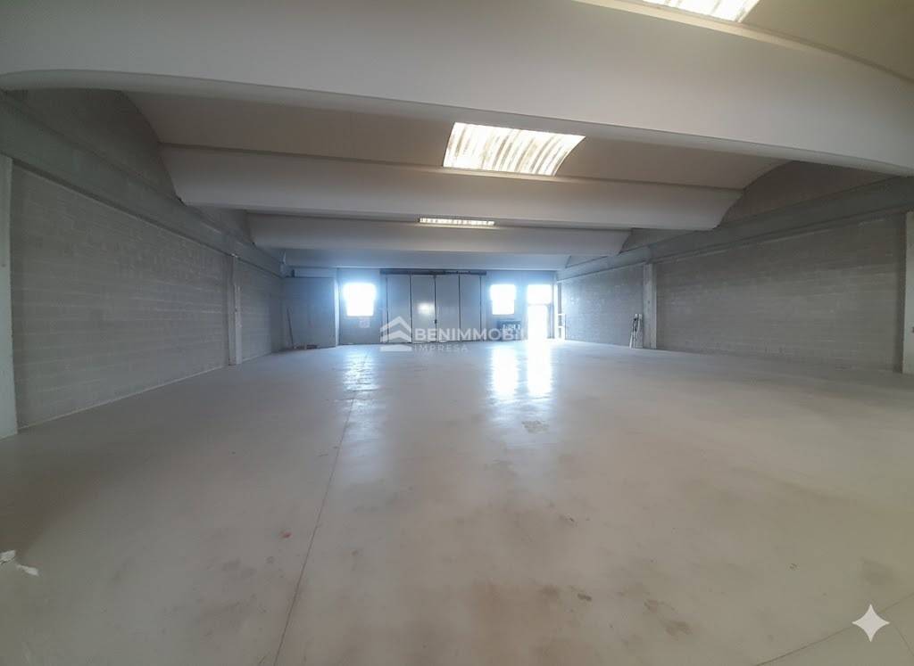 immagine annuncio 2 di 12