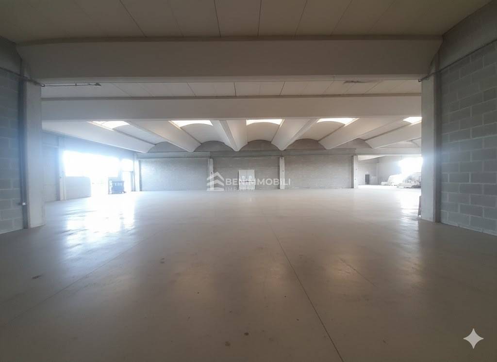 immagine annuncio 4 di 12