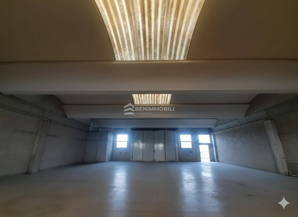 immagine annuncio 6 di 12