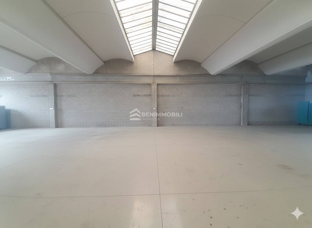 immagine annuncio 8 di 12