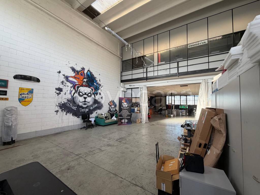 immagine annuncio 1 di 11