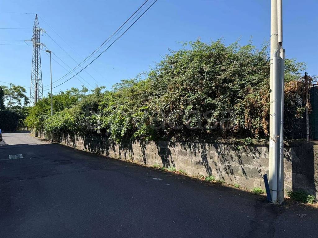 immagine annuncio 5 di 7