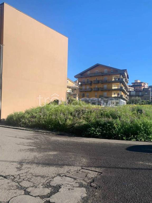 immagine annuncio 4 di 6