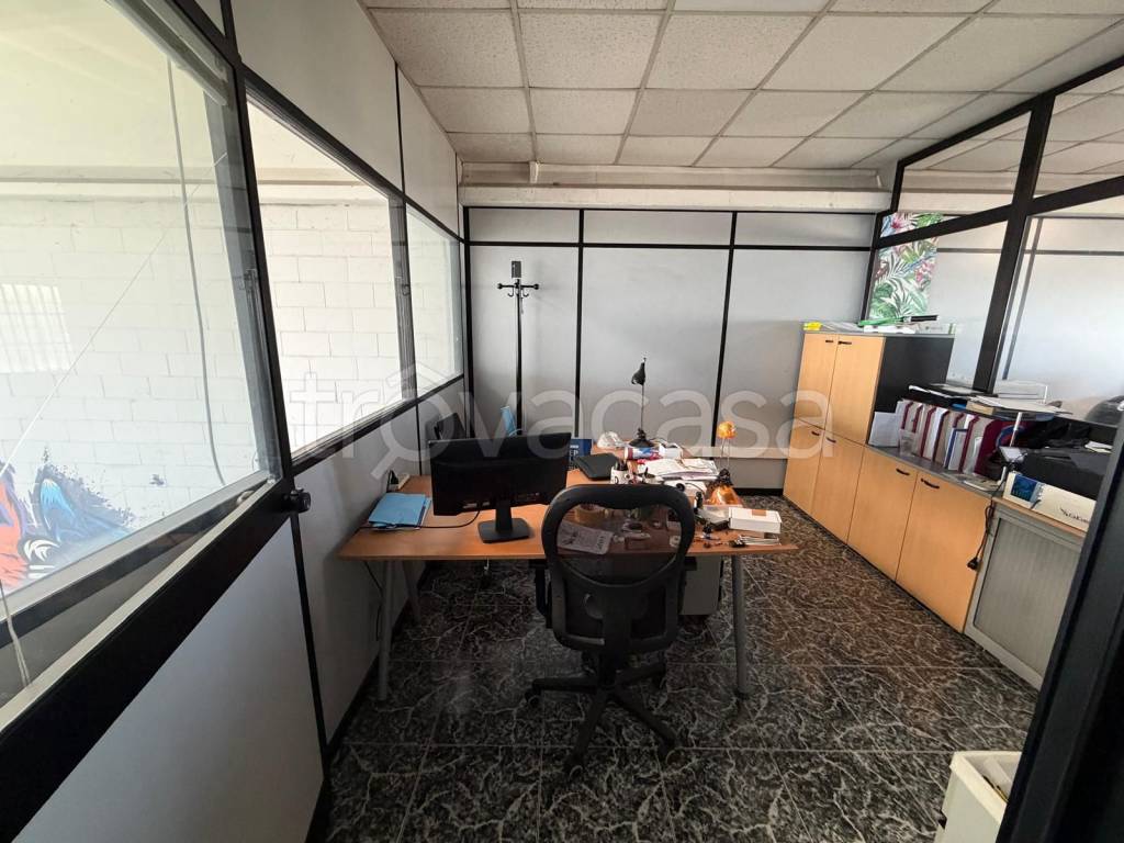 immagine annuncio 4 di 11