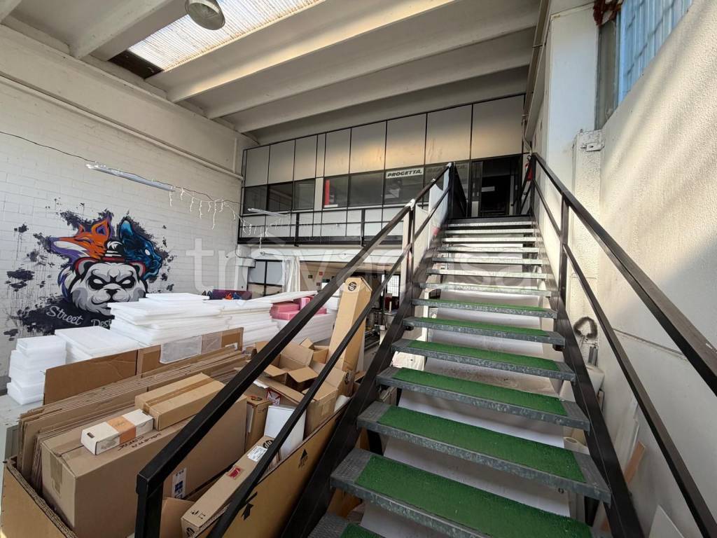 immagine annuncio 7 di 11