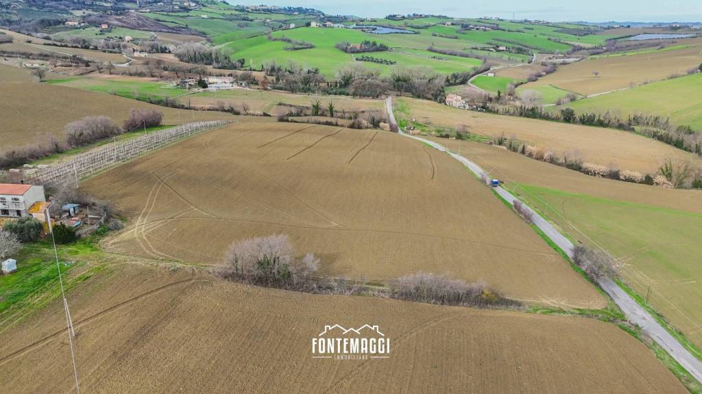 immagine annuncio 3 di 14