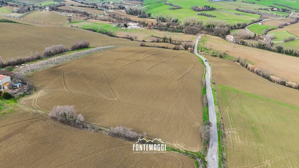 immagine annuncio 4 di 14