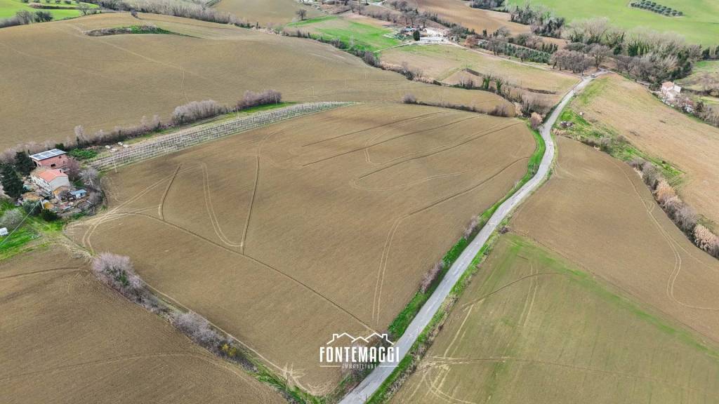 immagine annuncio 5 di 14