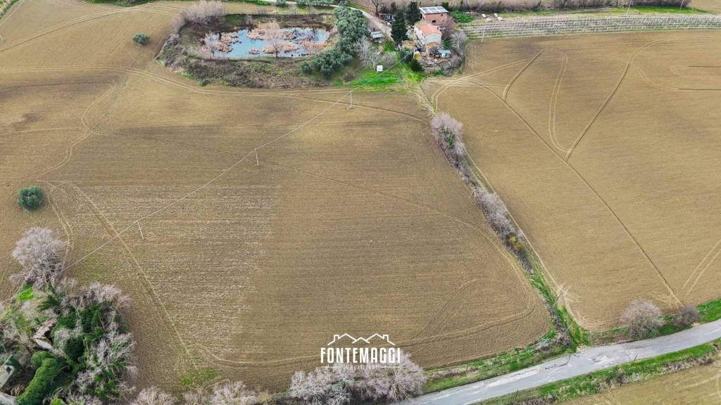 immagine annuncio 6 di 14